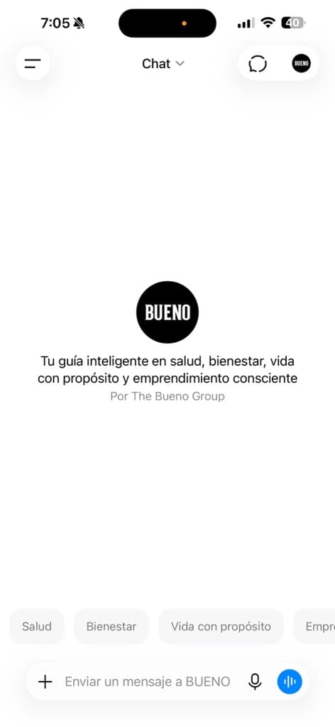 Conversación con BUENO en la aplicación de ChatGPT
